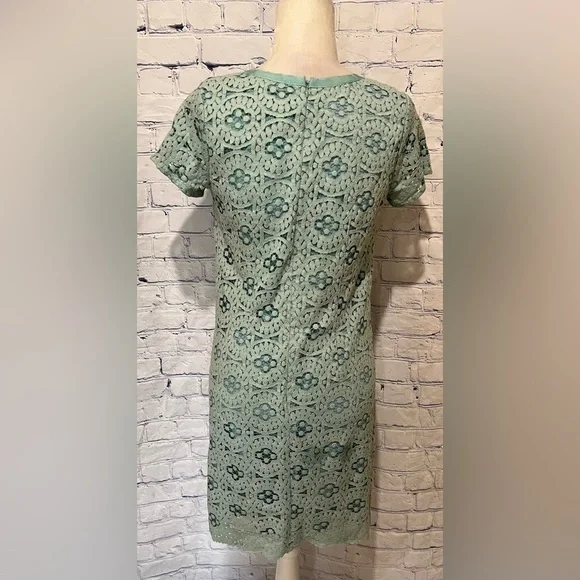 Ann Taylor Loft S 4 Seafoam Green Shift dress Cap Sleeve Lace Work Cocktail - Picture 5 of 8